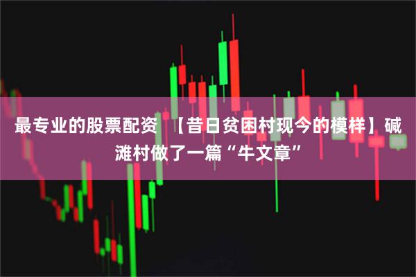 最专业的股票配资  【昔日贫困村现今的模样】碱滩村做了一篇“牛文章”